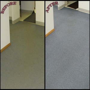 DIY Carpet Cleaning Hire Package