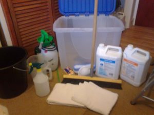 Complete DIY carpet cleaning package
